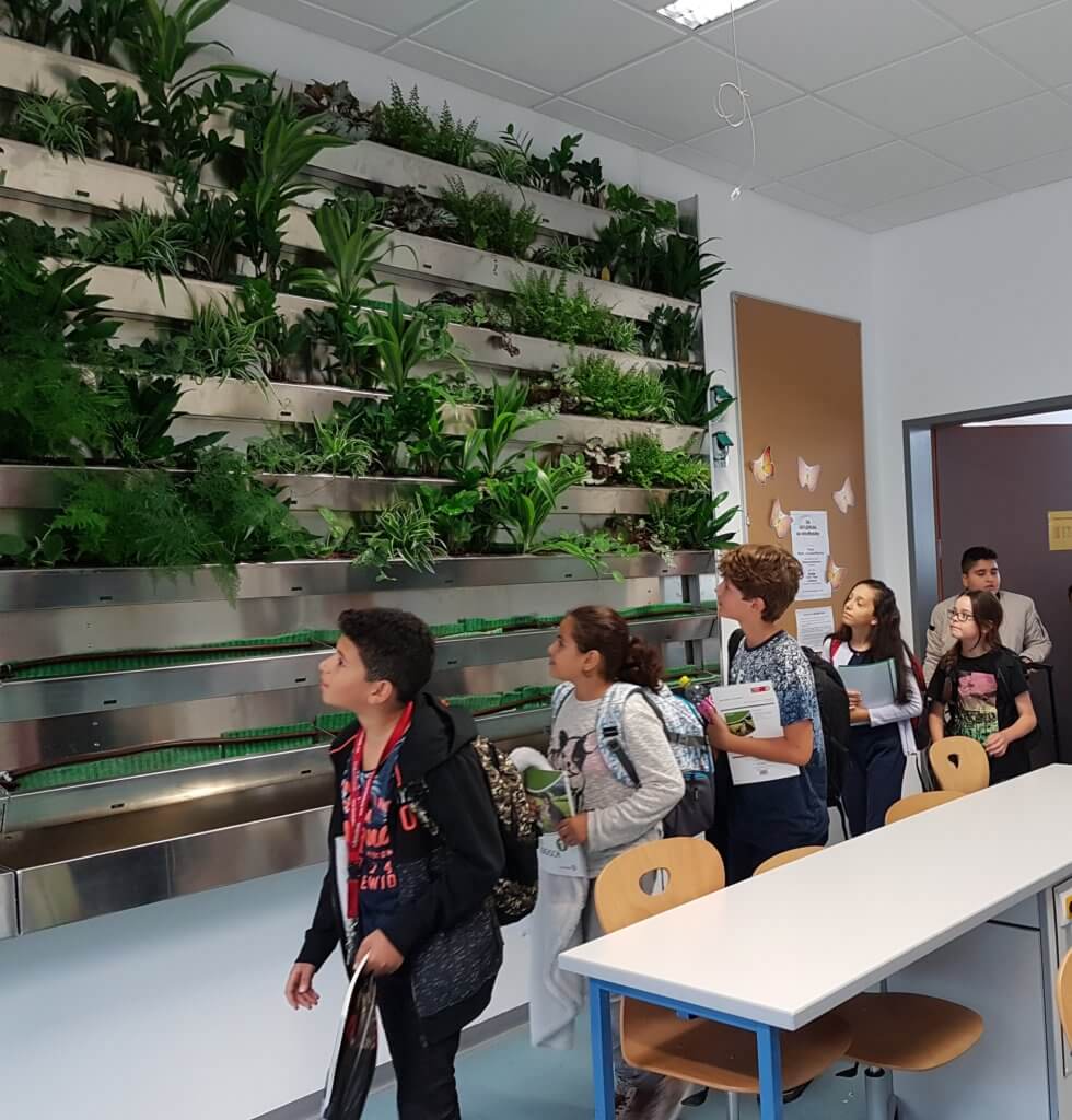 Schülerinnen und Schüler sehen die Grünwand zum ersten Mal